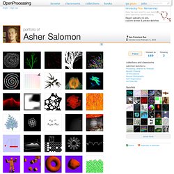 The Processing Portfolio of Asher Salomon