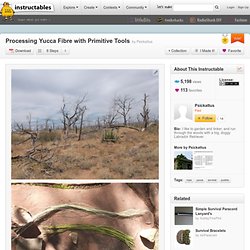 Instructables - Processing Yucca Fibre with Primitive Tools