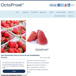 Why Processors Should Focus on IQF Strawberries