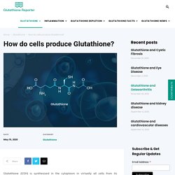 How Do Cells Produce Glutathione?