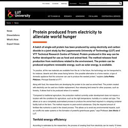 Protein produced from electricity to alleviate world hunger - News - LUT