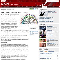 IBM produces first 'brain chips'