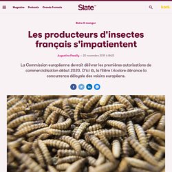 SLATE 20/11/19 Les producteurs d'insectes français s'impatientent