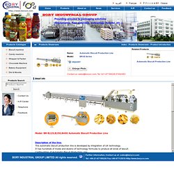 Automatic Biscuit Production Line - BORY INDUSTRIAL-BISCUIT MACHINERY,BAKERY EQUIMENT,CONFECTIONERY AND BEVERAGE MACHINERY! - BORY INDUSTRIAL