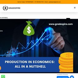 PRODUCTION IN ECONOMICS: ALL IN A NUTSHELL
