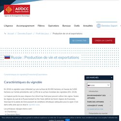 Production de vin et exportations - Russie