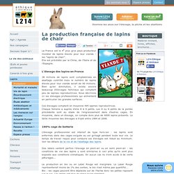 La production française de lapins de chair