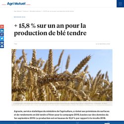 TNC 12/09/19 + 15,8 % sur un an pour la production de blé tendre