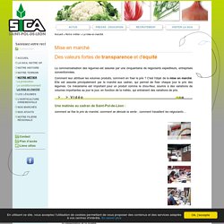 Sica, production de légumes et horticulture en Bretagne