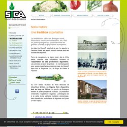 Sica, production de légumes et horticulture en Bretagne