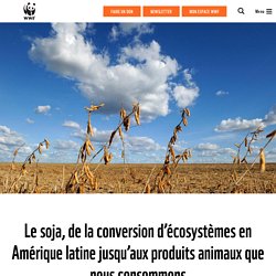 WWF 23/10/17 Le soja, de la conversion d’écosystèmes en Amérique latine jusqu’aux produits animaux que nous consommons