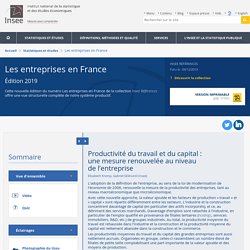 Productivité du travail et du capital : une mesure renouvelée au niveau de l’entreprise − Les entreprises en France
