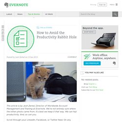 How to Avoid the Productivity Rabbit Hole