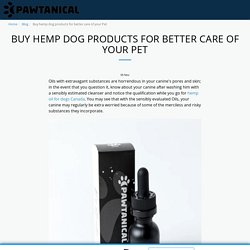 Buy hemp dog products for better care of your Pet - Pawtanical
