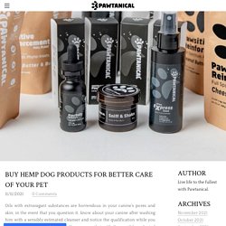 Buy hemp dog products for better care of your Pet - PAWTANICAL