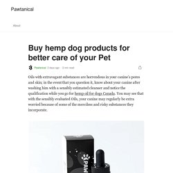 Buy hemp dog products for better care of your Pet