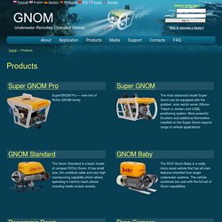 Products — GNOM