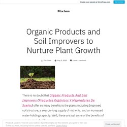 Best Organic Products and Soil Improvers to Nurture Plant Growth