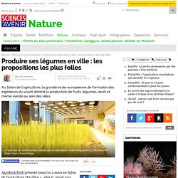 Produire ses légumes en ville : les propositions les plus folles