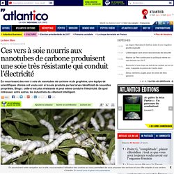 Ces vers à soie nourris aux nanotubes de carbone produisent une soie très rés...