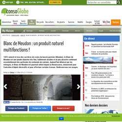 Blanc de Meudon : un produit naturel multifonctions !