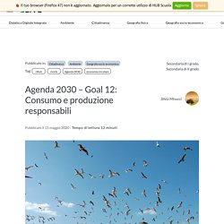 Agenda 2030 – Goal 12: Consumo e produzione responsabili