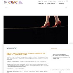 Diplôme d'Etat Professeur de cirque par validation des acquis de l'expérience (VAE) - CNAC