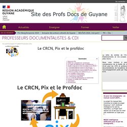 Sur le site acad de Guyane, Le CRCN, Pix et le profdoc