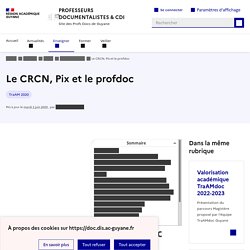 Sur le site acad de Guyane, Le CRCN, Pix et le profdoc