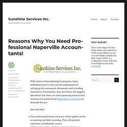 Reasons Why You Need Professional Naperville Accountants! – Sunshine Services Inc.