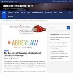 The Benefits of Choosing a Professional Child Custody Lawyer