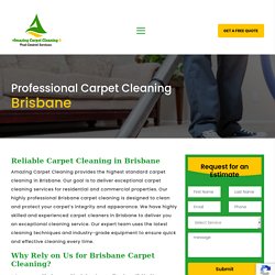 Professional Carpet Cleaning Brisbane