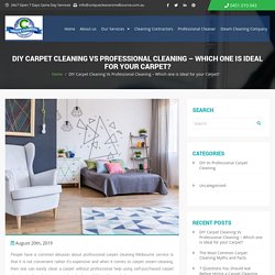 DIY Vs Professional Carpet Cleaning