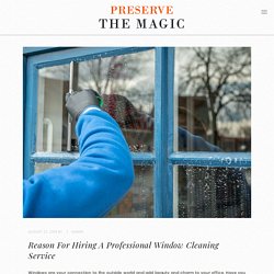 Reason For Hiring A Professional Window Cleaning Service