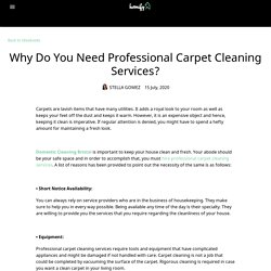 Why Do You Need Professional Carpet Cleaning Services?