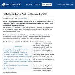 Professional Carpet And Tile Cleaning Services