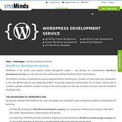WordPress Custom Development Service - cmsMinds