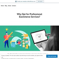 Why Opt for Professional Ecommerce Services?