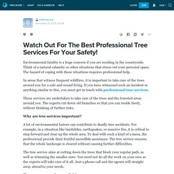 Watch Out For The Best Professional Tree Services For Your Safety!