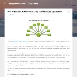 Does Professional MDM Providers Really Think About Data Governance?
