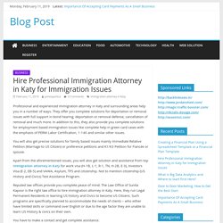 Hire Professional Immigration Attorney in Katy for Immigration Issues