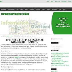 THE NEED FOR PROFESSIONAL GUIDEWIRE TRAINING – Innovative Information