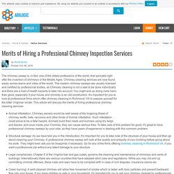 Merits of Hiring a Professional Chimney Inspection Services