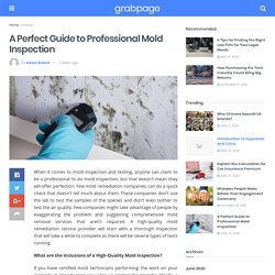A Perfect Guide to Professional Mold Inspection – Grab Page