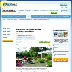 Benefits of Hiring Professional Landscaping Services