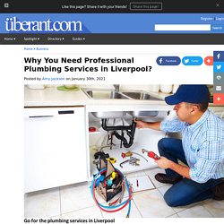 Why You Need Professional Plumbing Services in Liverpool?