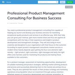 Professional Product Management Consulting For Business Success