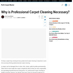 Why is Professional Carpet Cleaning Necessary?