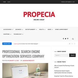 Professional Search Engine Optimization Services Company