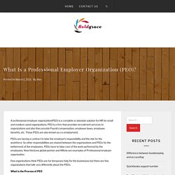 What Is a Professional Employer Organization (PEO)? - Holdgrace